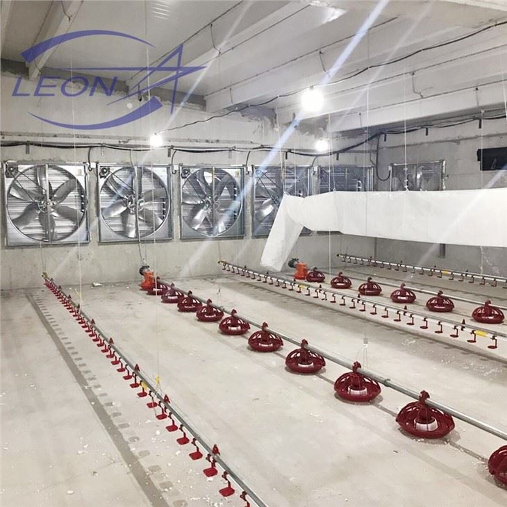 Chicken Floor Plastic Slat Poultry Farm