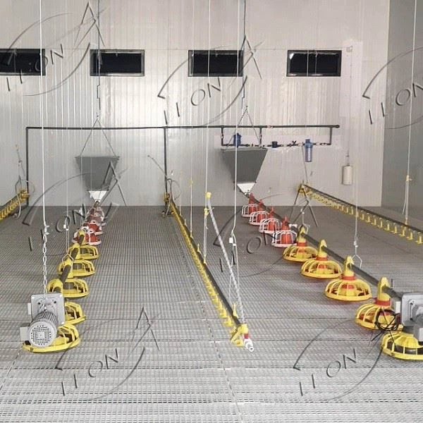 Chicken Floor Raising Chicken Floor Raising