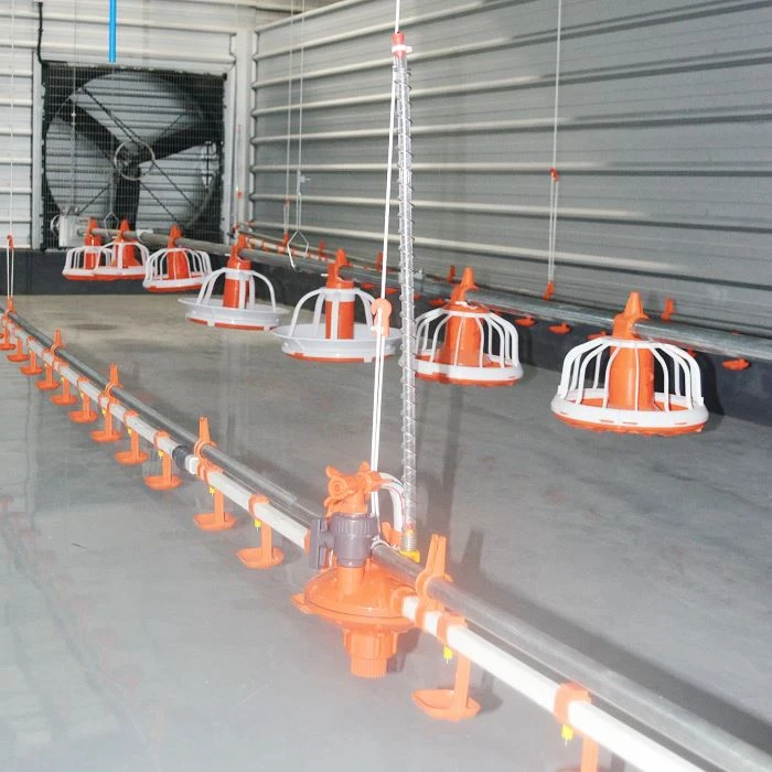Good Quality Broiler Pan Feeding System