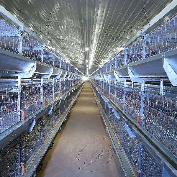 Poultry Farm Equipment Chicken Cage H Type Broiler House System Poultry Farming