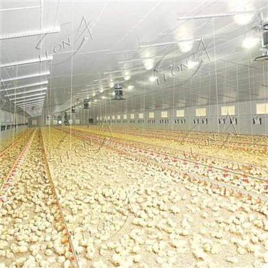 ระบบการยกพื้นไก่เนื้อ