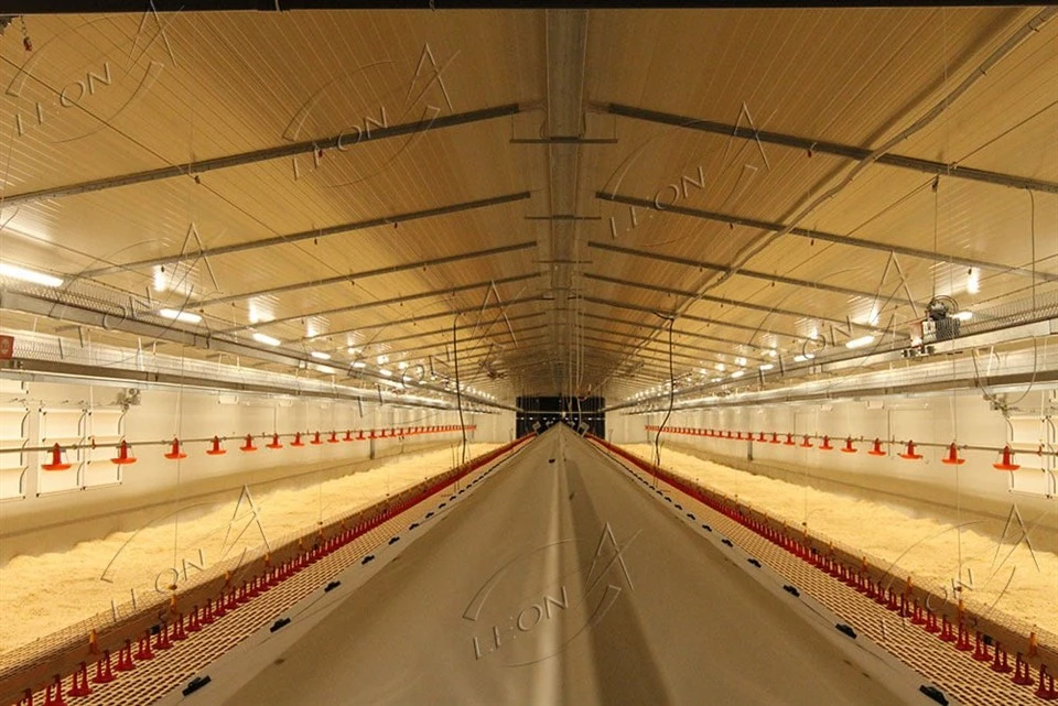 Automatic Breeder Raising System