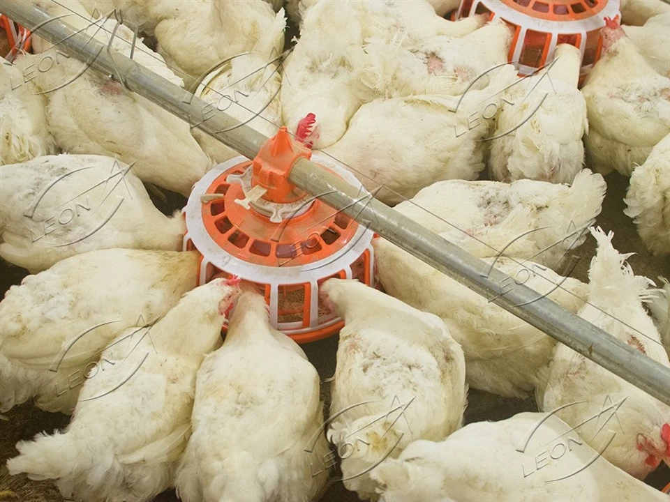 Automatic Breeder Raising System